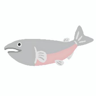 鮭 魚,鮭,生き物,手描き,手描き風,ベクター,シンプル,デフォルメ,かわいい,可愛いのイラスト素材