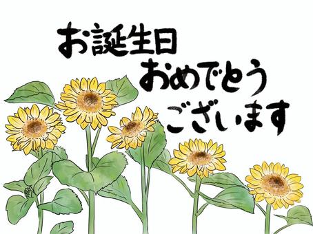 2025ひまわりのお誕生日カード お誕生日カード,ひまわり,夏,花,おめでとうございますのイラスト素材