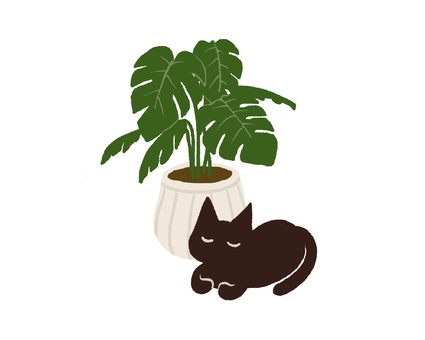 観葉植物と黒ねこ01 観葉植物,緑,植物,インテリア,モンステラ,植木鉢,猫,黒猫,動物,ペットのイラスト素材