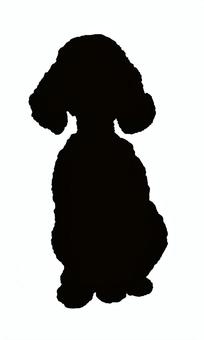 【手描き】トイプードルのシルエット トイプードル,犬,生き物,全身,シルエット,愛玩動物,手描き,リアル,モノクロ,挿絵のイラスト素材
