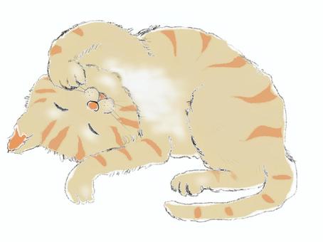 ゴロゴロ ゴロゴロ ネコ,ペット,カワイイ,癒し,気まぐれ,猫,寝転ぶ,ねこカフェ,ポスター,ポストカードのイラスト素材