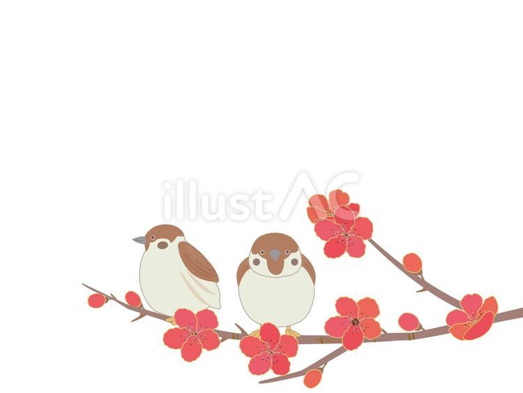 福良雀と梅の花　寒中見舞い スズメ,梅,福良雀のイラスト素材