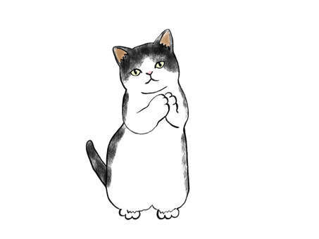 Cat Standing with hands together 4 Hachiware, cat, animal, a pet, JPG and PNG