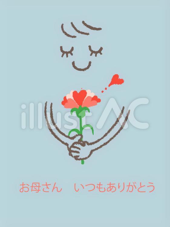 母の日　カーネーション カーネーション,母の日,ありがとうのイラスト素材