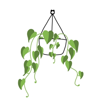 ハンギングプランター 観葉植物,手書き,葉っぱ,鉢植え,かわいいのイラスト素材