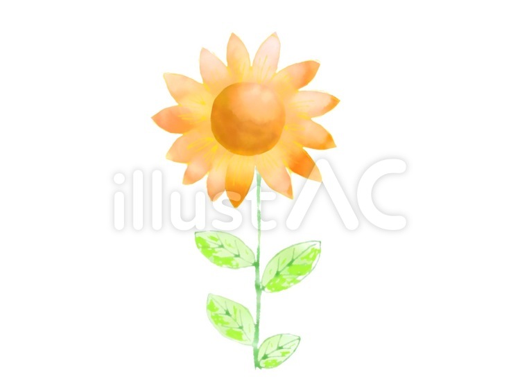 水彩風ひまわりのイラスト ひまわり,水彩風,植物のイラスト素材