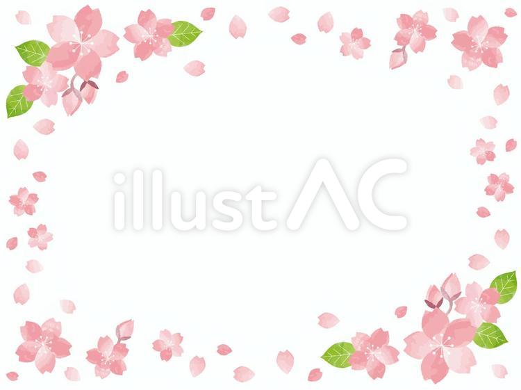 春　桜　サクラ　枠　水彩風　卒業式 桜,春,フレームのイラスト素材