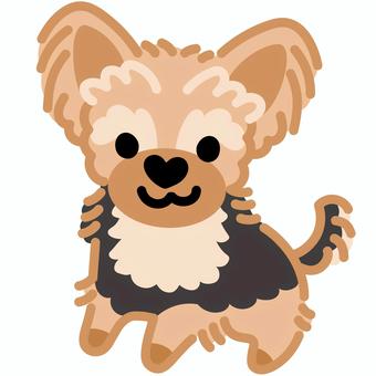 ハート鼻のヨークシャーテリア（立つ）4 ヨークシャーテリア,犬,動物,ハート,鼻,立つ,シンプル,かわいい,キュート,デフォルメのイラスト素材