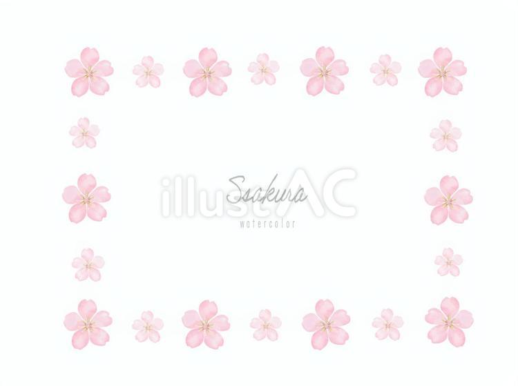 水彩の桜さくらの花のスクエアフレーム 桜,さくら,花のイラスト素材