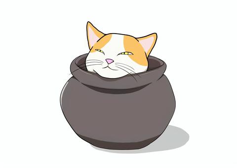 猫と壺（茶トラ） 猫,ネコ,ねこ,茶白,動物,ペット,cat,手描き,かわいい,壺のイラスト素材