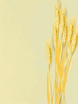 黄金色の麦穂とキャンバス地mugi022 麦穂,黄金色,リアル,ナチュラル,お洒落,自然,大人っぽい,枠,背景,麦のイラスト素材