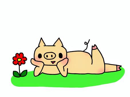 Illustration, animal, flower, pig, 