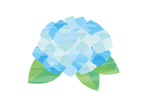 Watercolor style hydrangea flower 2 light blue, , JPG, PNG and AI