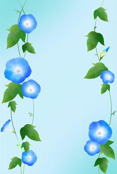 アサガオF 朝顔,アサガオ,あさがお,花,蔓,葉,葉っぱ,植物,自然,夏のイラスト素材