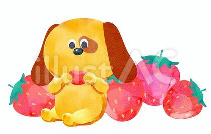 水彩画_いちごを食べる犬_01