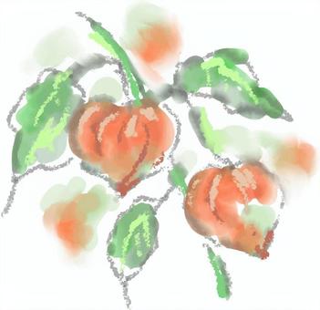 ほおずき ほおずき,８月,水彩風,夏,水彩,手描き,ベクターのイラスト素材