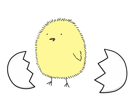 ヒヨコ ひよこ,卵,鳥,動物,かわいい,手書き,生まれる,生き物のイラスト素材
