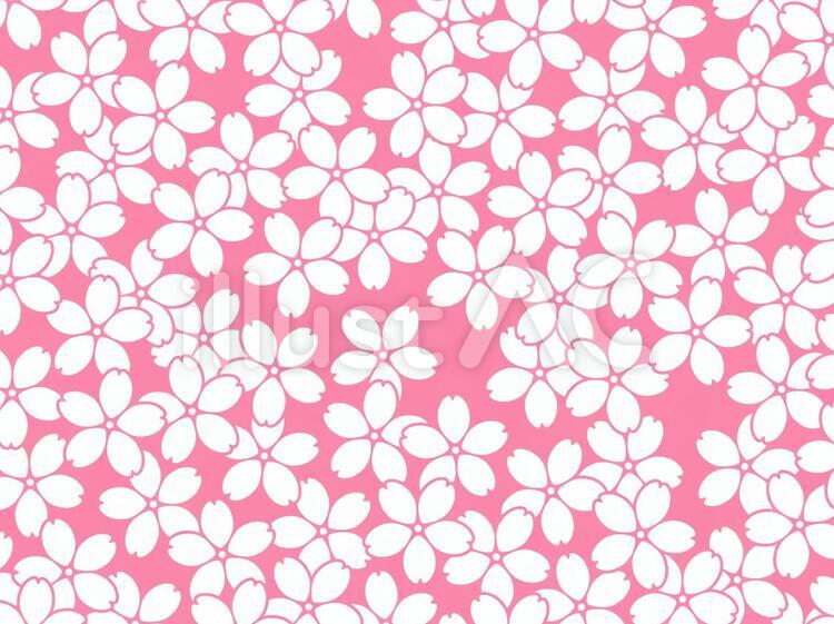 背景-桜28 桜,和,ピンクのイラスト素材
