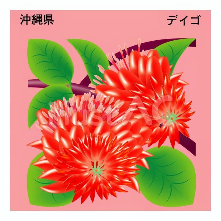 デイゴ 県花,沖縄県,デイゴのイラスト素材