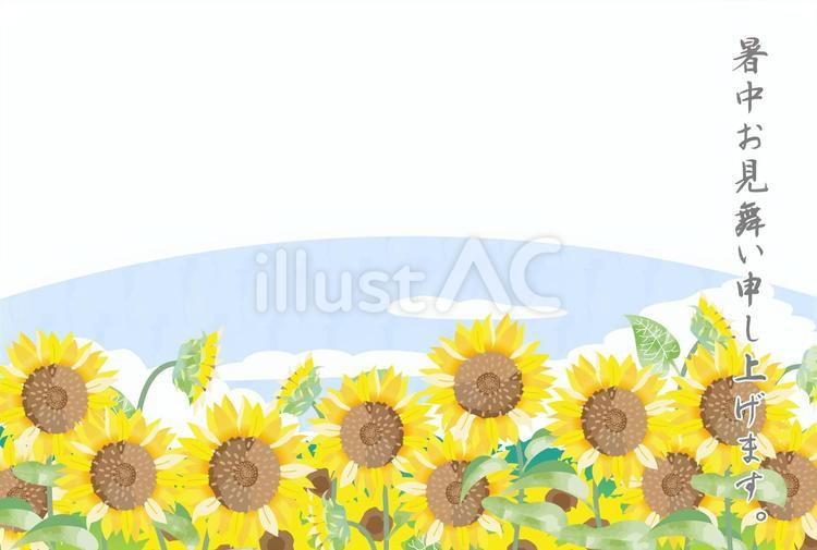 夏の挨拶状に使えるひまわりイラスト３ 暑中見舞い,夏,挨拶のイラスト素材