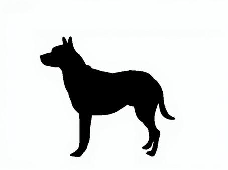 犬。。 犬,シルエット,動物,背景透過,黒犬,素材,ペット,哺乳類,アイコン,影絵のイラスト素材