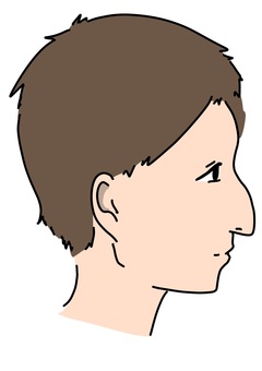 鷲鼻の男性横顔　カラー 鷲鼻,男性,横顔,個性,カラーのイラスト素材