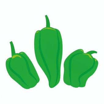 パドロン スペイン,外国,社会,ピーマン,パドロン,野菜,緑,果実,収穫,自然のイラスト素材