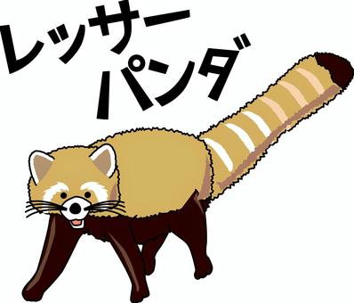 レッサーパンダ　 レッサーパンダ,かわいい,動物園,哺乳類,威嚇,カタカナ,線画のイラスト素材