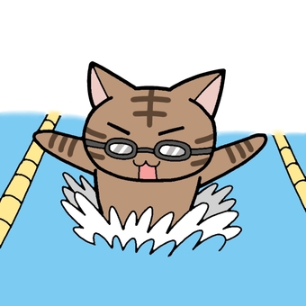 茶トラとバタフライ 茶トラ,猫,茶色,動物,水泳,バタフライ,スポーツのイラスト素材