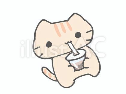 タピオカミルクティーを飲むネコ
