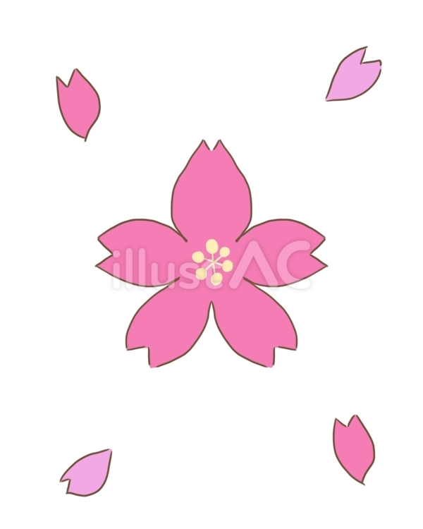 桜と桜の花びら 桜,手書き,かわいいのイラスト素材