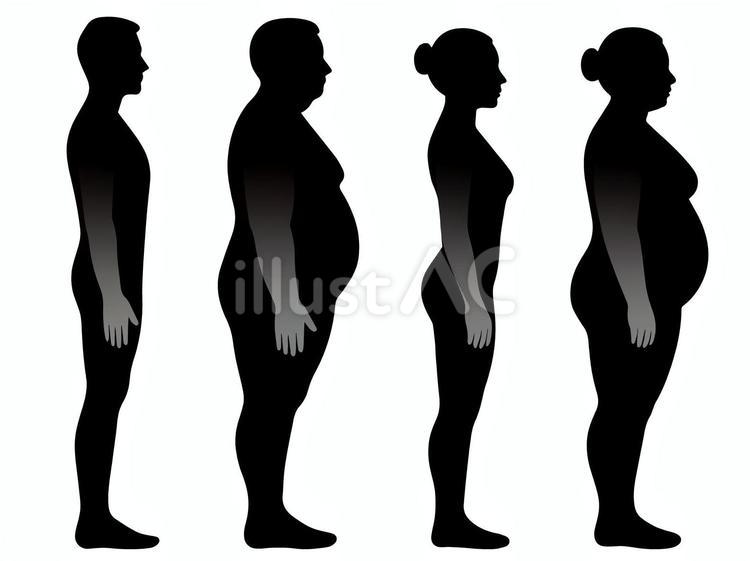 男女の理想体型vs肥満体型の比較図Ｂ 男,男性,女のイラスト素材