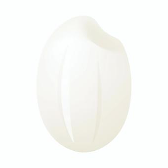 米粒 新米,お米,米粒,一粒,精米,アイコン,穀物,日本,米,ライスのイラスト素材