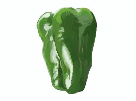 リアルすぎないピーマン 食べ物,野菜,ピーマン,緑黄色野菜,夏野菜のイラスト素材