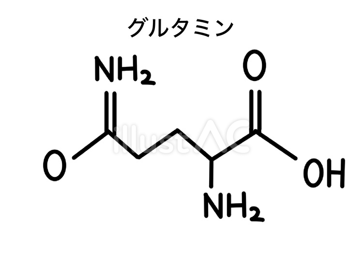 グルタミンの化学構造式 有機化学,シンプル,モノクロのイラスト素材