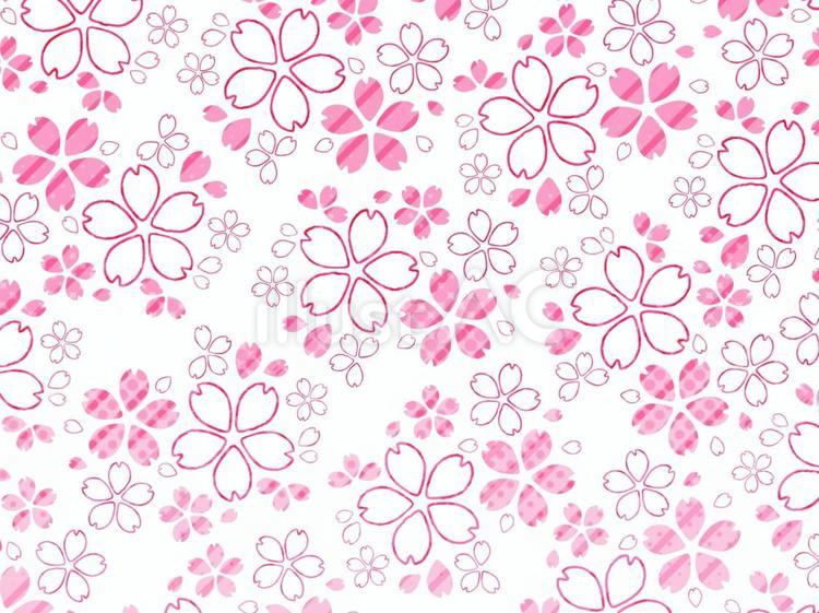 桜の花びらの背景 春,桜,花のイラスト素材