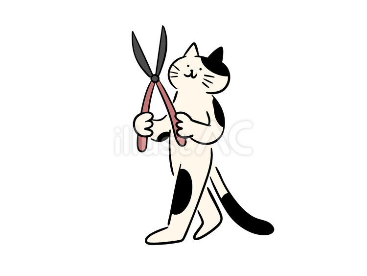 大きな枝切り鋏を持つ猫（カラー） 猫,ハサミ,枝切り鋏のイラスト素材
