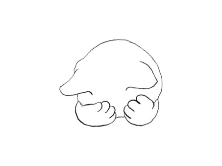 Illustration, cat, a pet, head, 