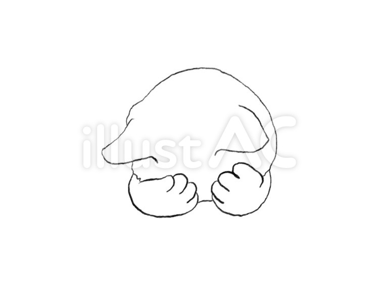ごめん寝する猫　正面　3　白猫 猫,ねこ,ペットのイラスト素材