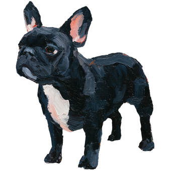 厚塗り黒フレンチブルドッグ フレンチブルドッグ,犬,ペット,動物,油絵風,厚塗り,アート,手描き,シンプル,かわいいのイラスト素材