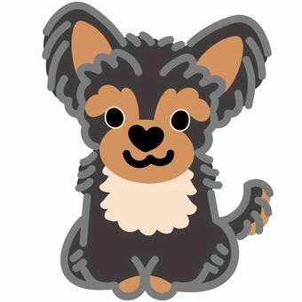 ハート鼻ヨークシャーテリア（おすわり）5 ヨークシャーテリア,犬,動物,ハート,鼻,おすわり,シンプル,かわいい,キュート,デフォルメのイラスト素材