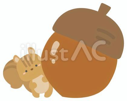リスとどんぐり03