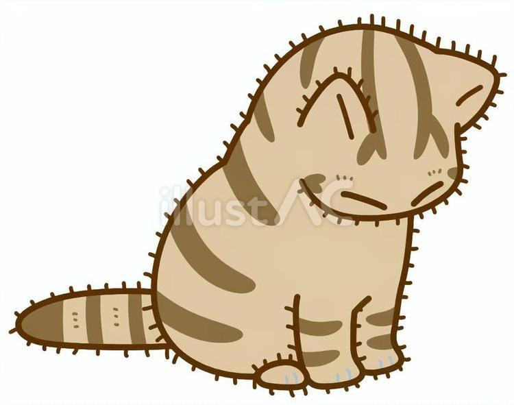 下を見るこげ茶子猫 子猫,猫,こげ茶のイラスト素材