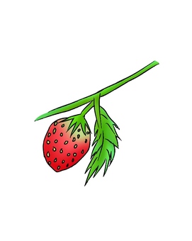 Gradient strawberry white background, , JPG and PNG