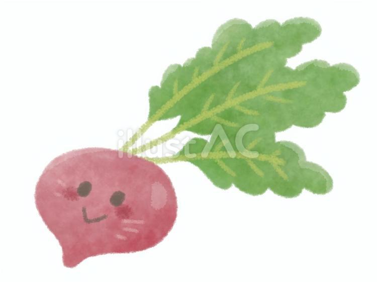 赤かぶ（顔あり） 赤かぶ,蕪,赤色のイラスト素材