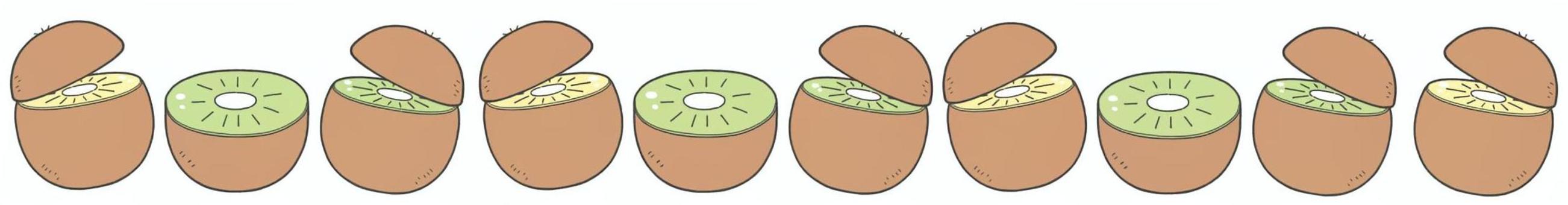 キウイの手描きライン素材1 キウイ,ライン,手描き,シンプル,果物,単品,フルーツ,食べ物,挿絵,飾りのイラスト素材