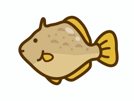 カワハギ カワハギ,かわはぎ,はぎ,ハギ,はげ,ハゲ,丸ハギ,丸ハゲ,ウマヅラハギ,魚のイラスト素材
