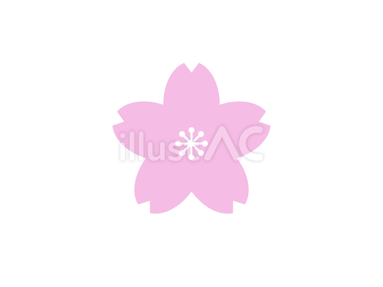 桜アイコン：桜色 桜,春,花のイラスト素材