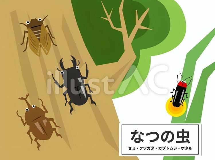 夏の虫　背景付き 昆虫,虫,昆虫採集のイラスト素材
