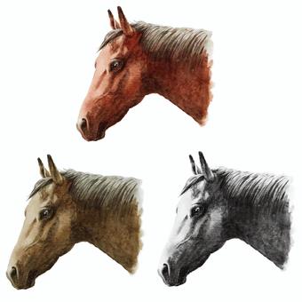 水彩画馬の横顔 馬,動物,生き物,午年,干支,十二支,顔,横顔,年賀状,年賀素材のイラスト素材